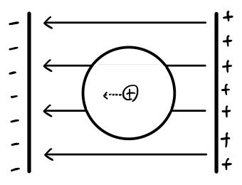 Neutral atom between oppositely charged plates in a leftward external electric field.